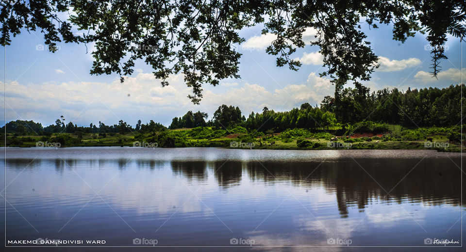 Lake, Landscape, Water, Reflection, Tree