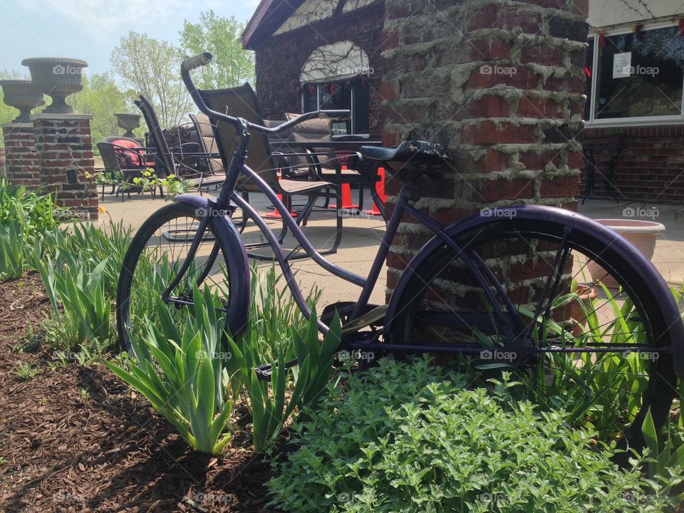 vintage bicycle