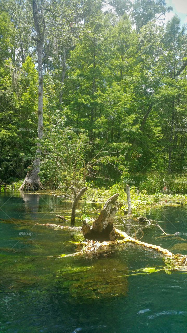 Floating down the river