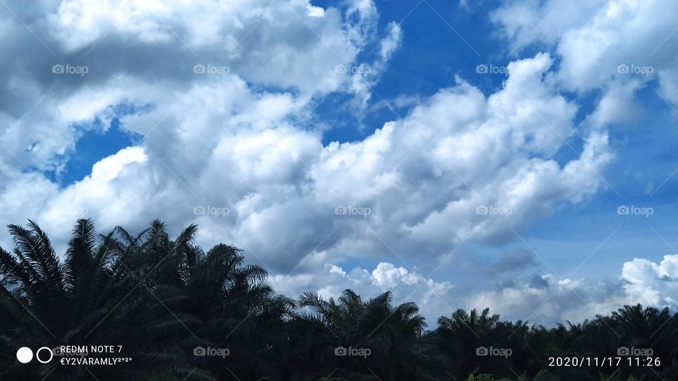 White Cloud In The Sky