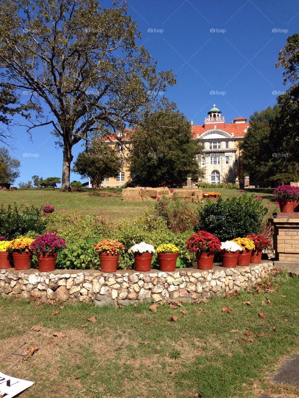 St Joseph farm