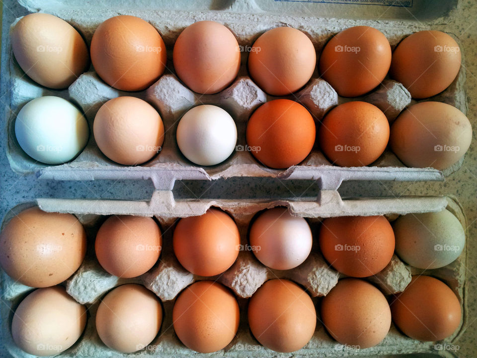 Free range farm fresh organic eggs two dozen