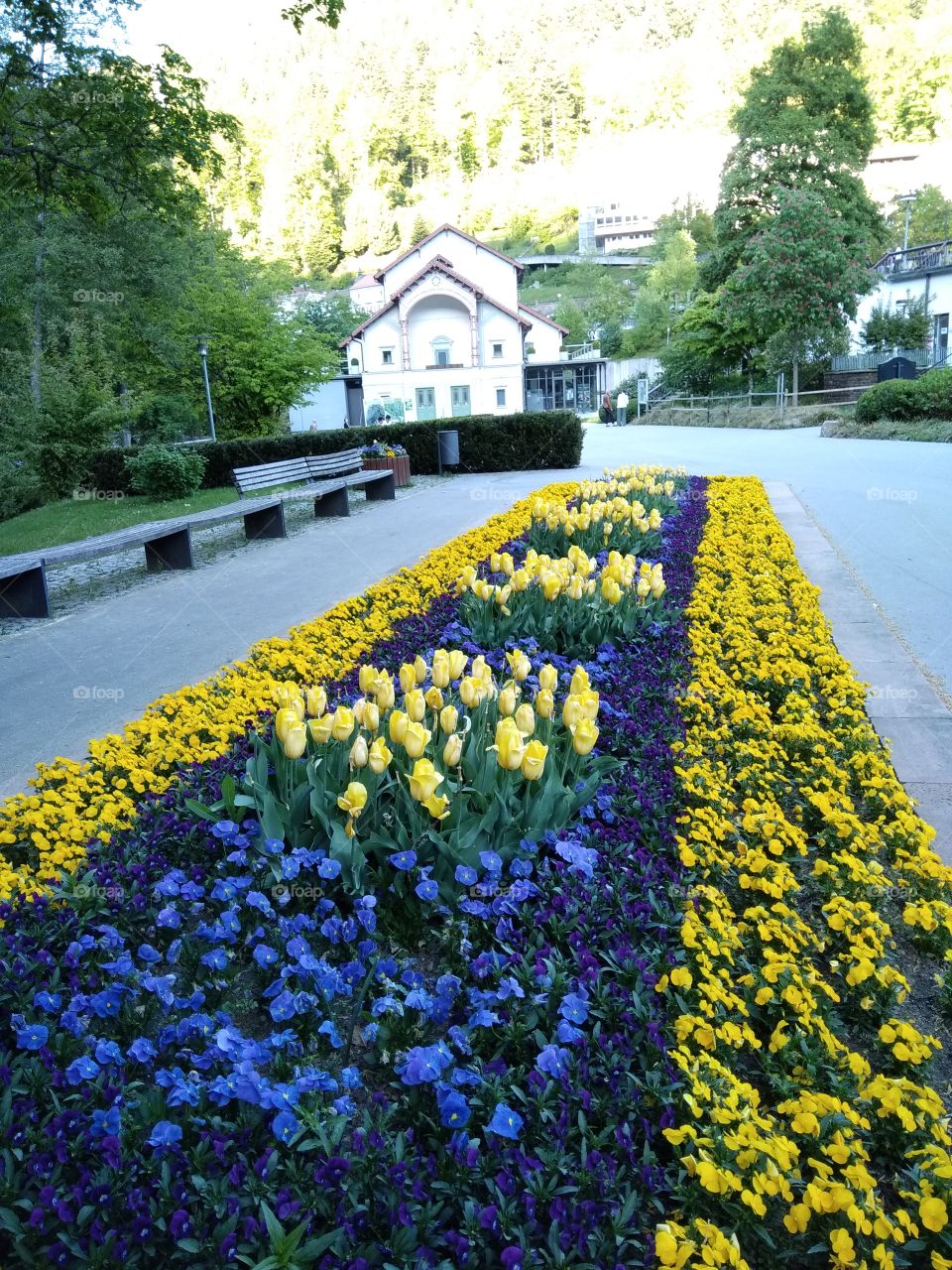 Kurpark in Bad Wildbad