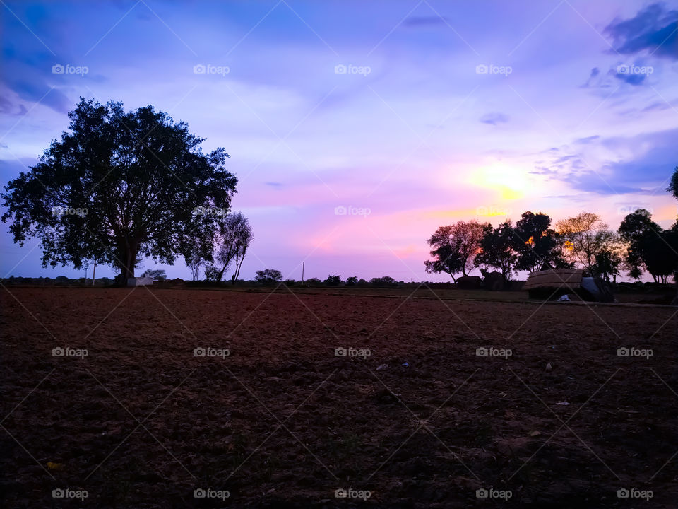 Sunset in the countryside. in Rajasthan India