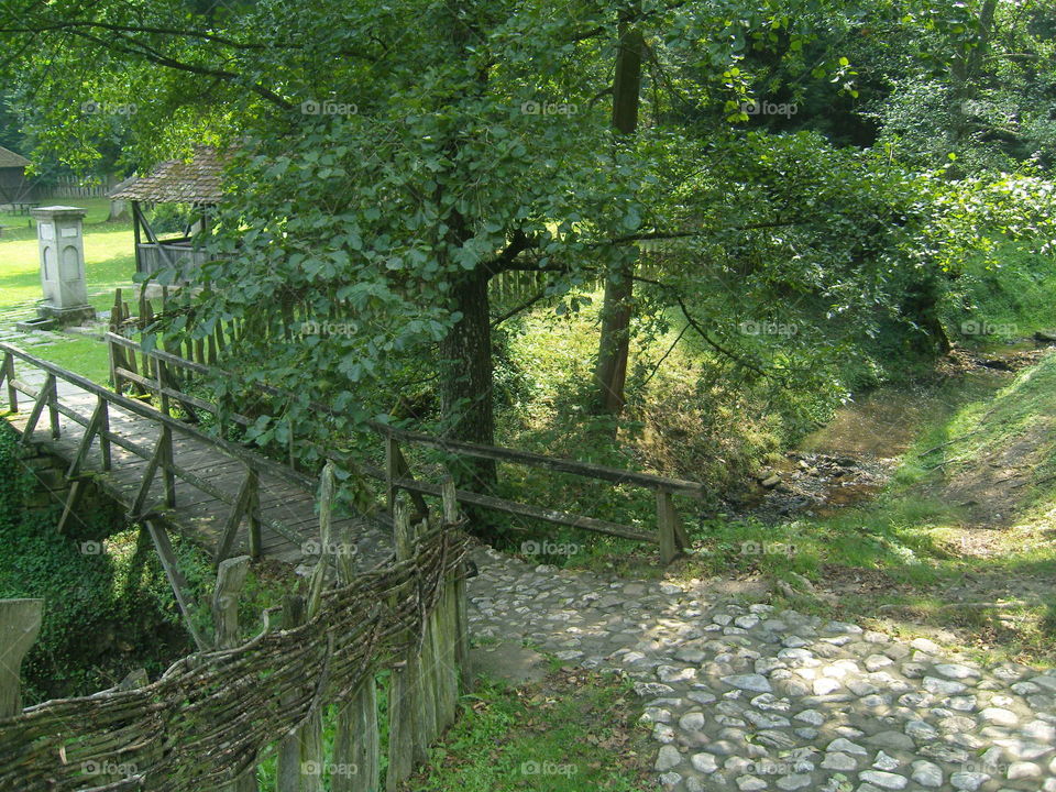 Stone path and wooden bridge