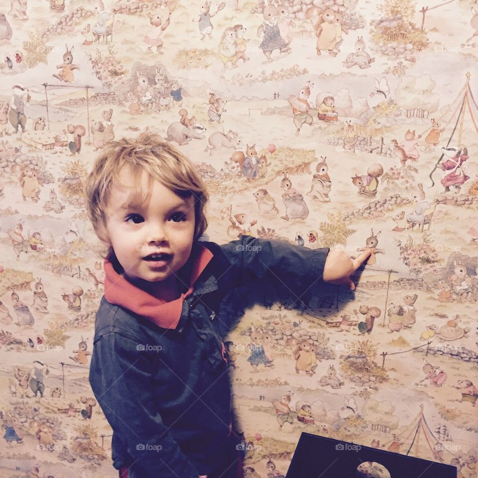 Favorite animal in the wallpaper