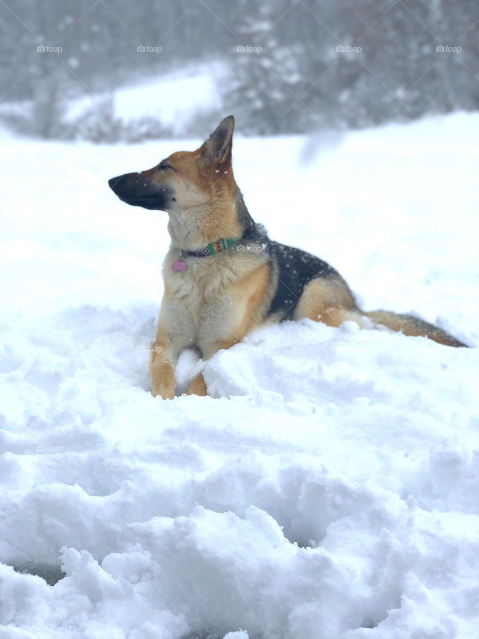 No mom I will not come inside