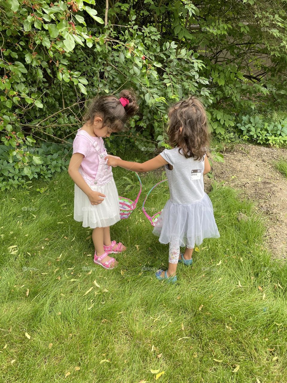 Friend meeting by the Mulberry tree, picking berries with friends, toddler girls pick berries in the backyard, picking mulberries from the tree, fresh berries in the summertime 