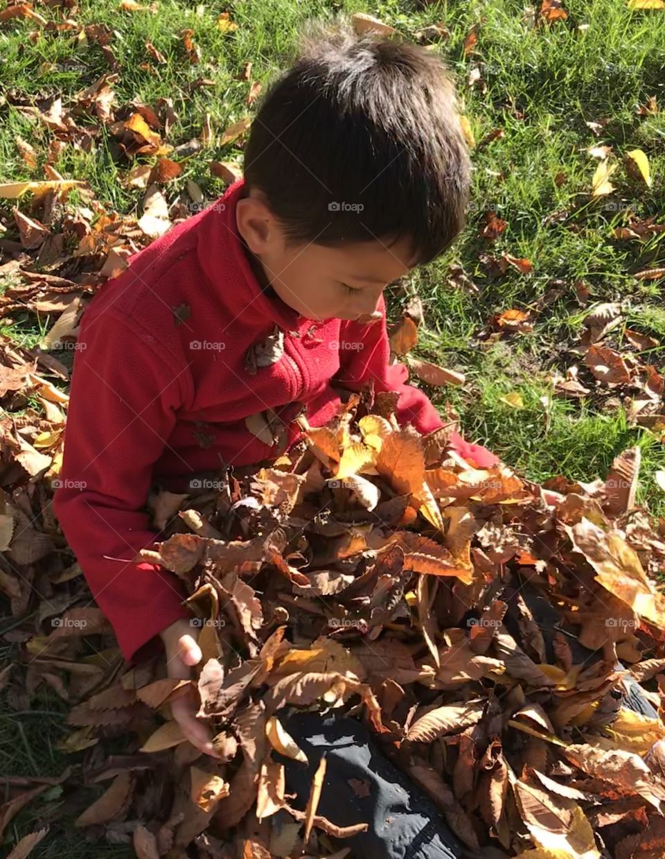 Boy surrounding himself with Fall leaves