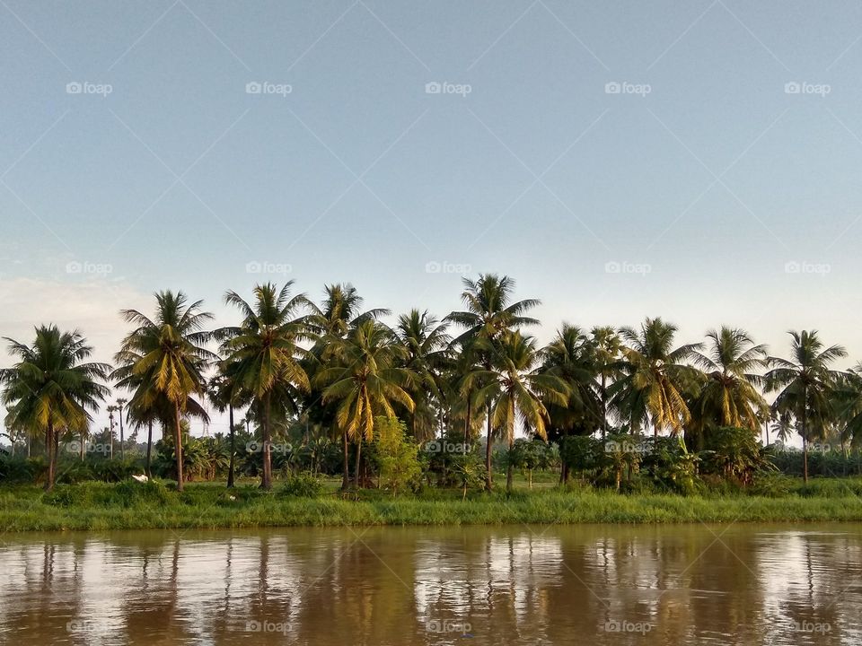 Konaseema is the delta region of the East Godavari District, and West Godavari District of Coastal Andhra Pradesh, India. Regarded as East Kerala due to it's similarities with the Kerala backwaters. It is often termed as "God's Own Creation".