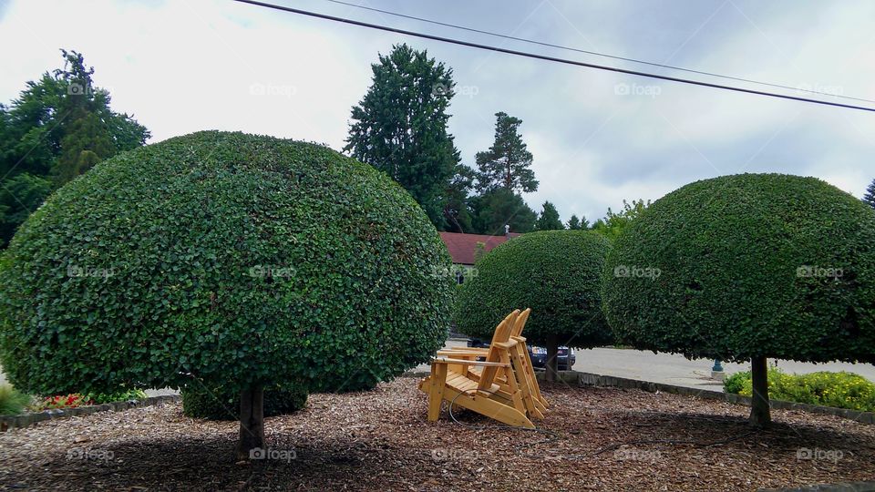 Relaxing among the perfect trees