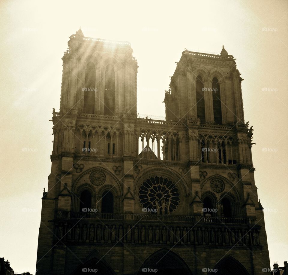 Backlit Notre Dame in Paris