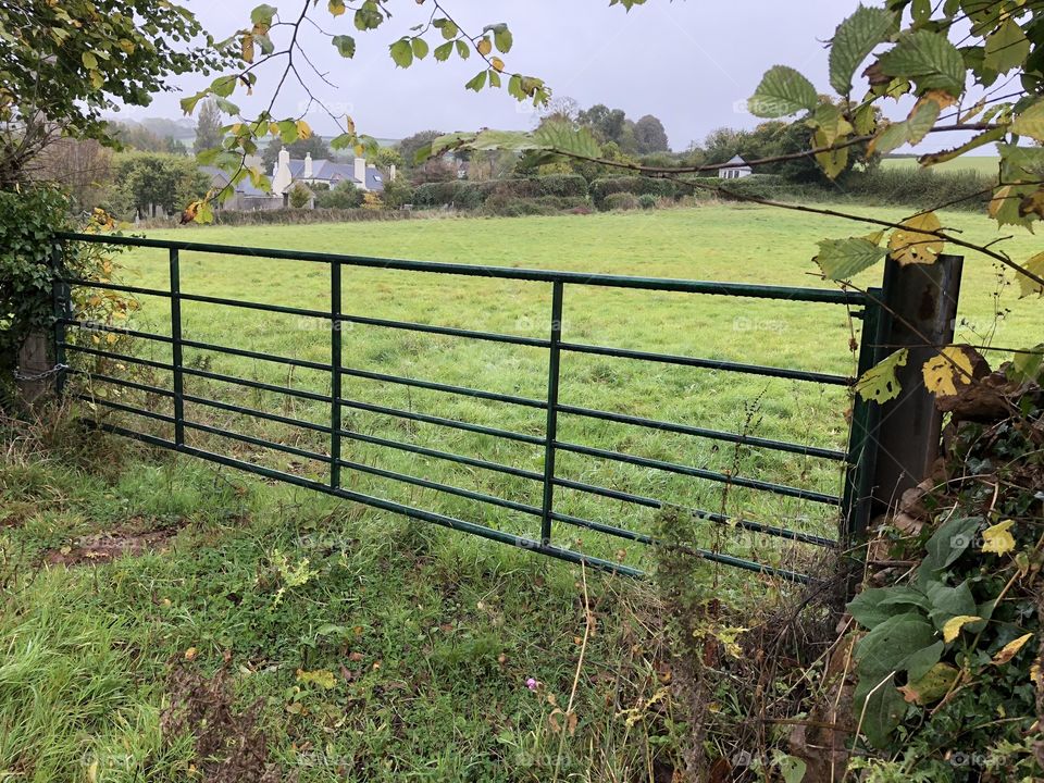 Coffinswell’s open countryside is staggeringly beautiful. Here is just but one example of such beauty.