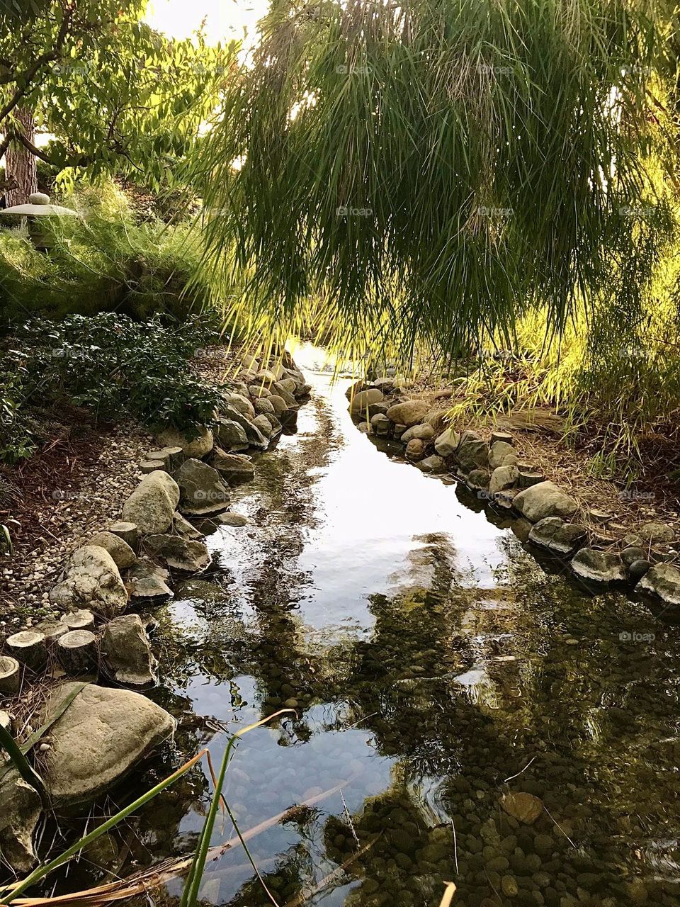 Creek of Reflection