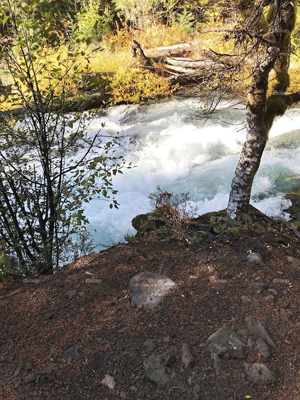 Sun rays reflect off the rushing waters of the McKenzie River in the mountains of Western Oregon on a beautiful fall day. 