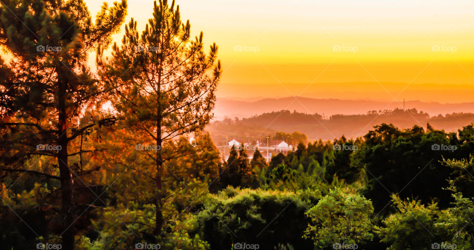 Landscape during a vibrant orange sunset