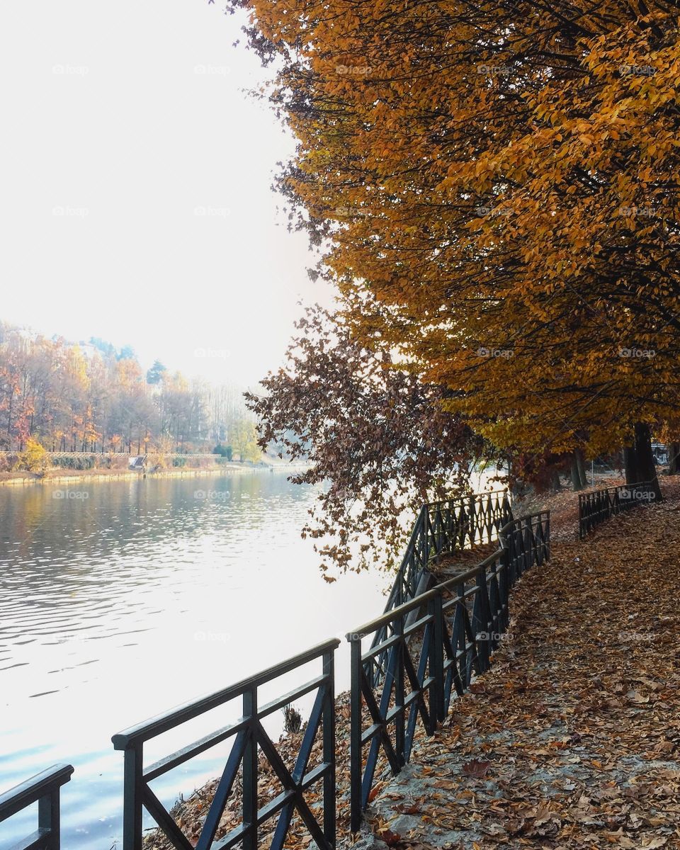 Fall at Parco Valentino