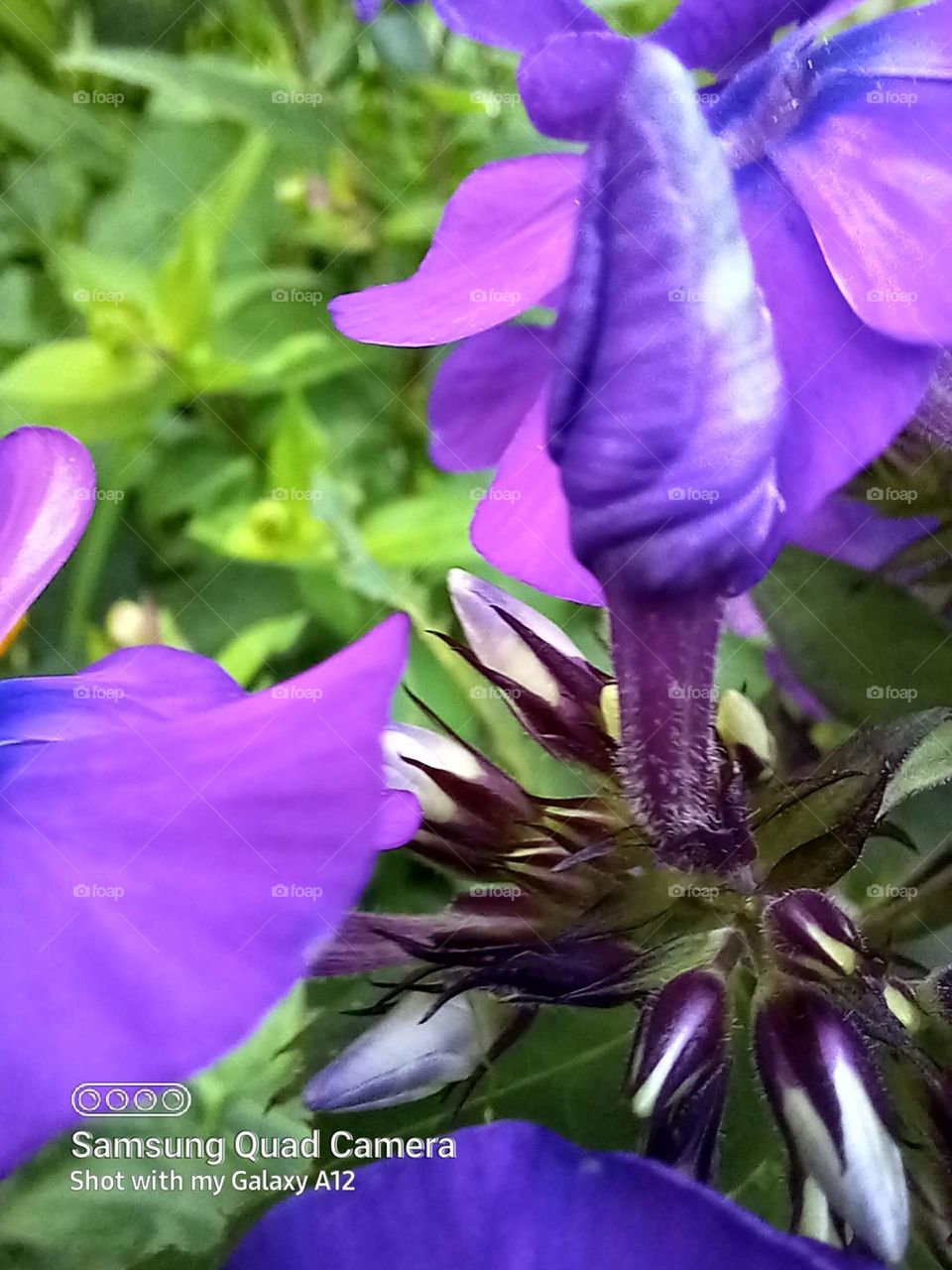 stunning and beautiful. Nature is so impressive.