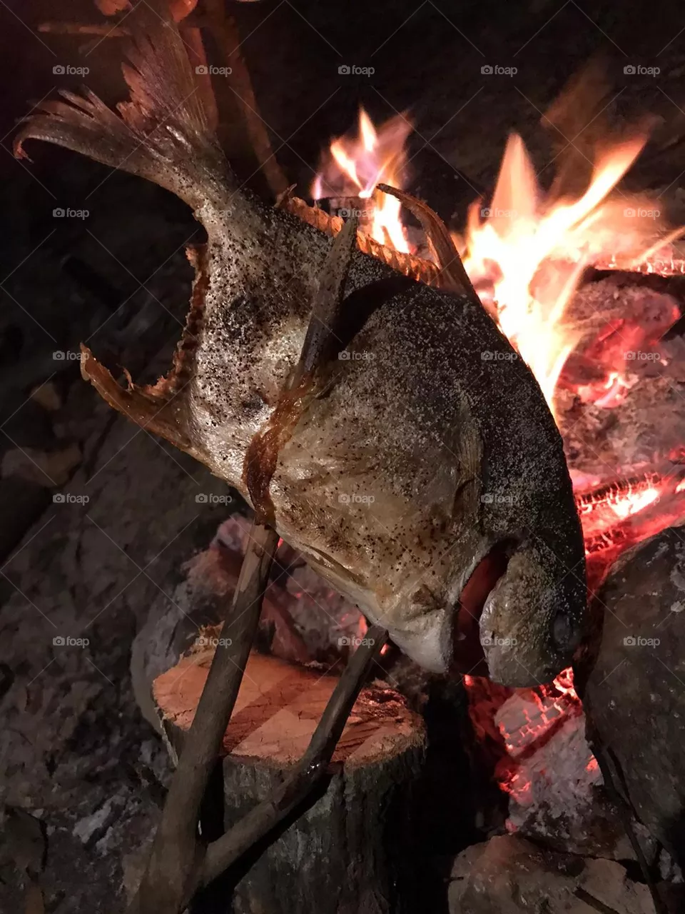Camp Cook Fish