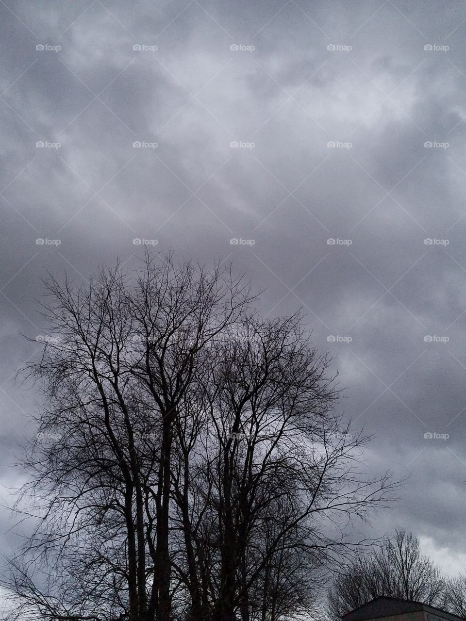 Winter, Fog, Snow, No Person, Landscape