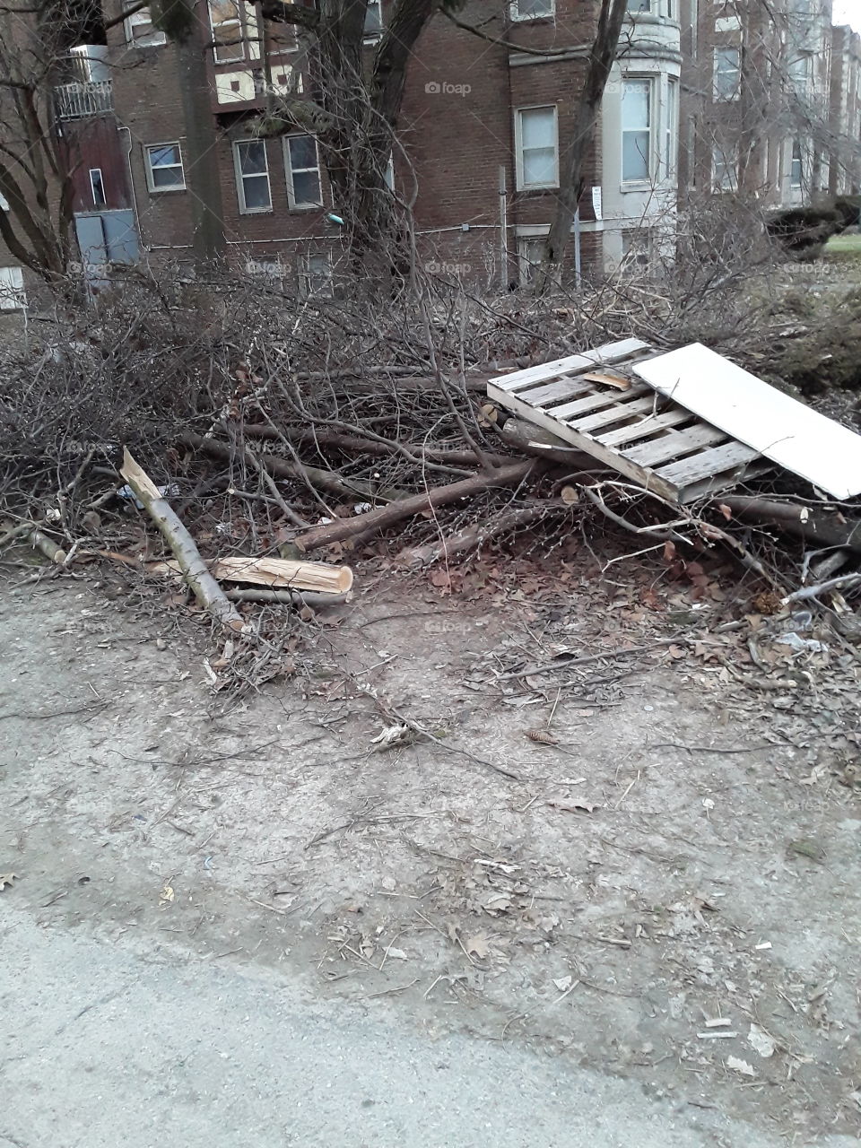 trash and tree branches in a empty lot in the city