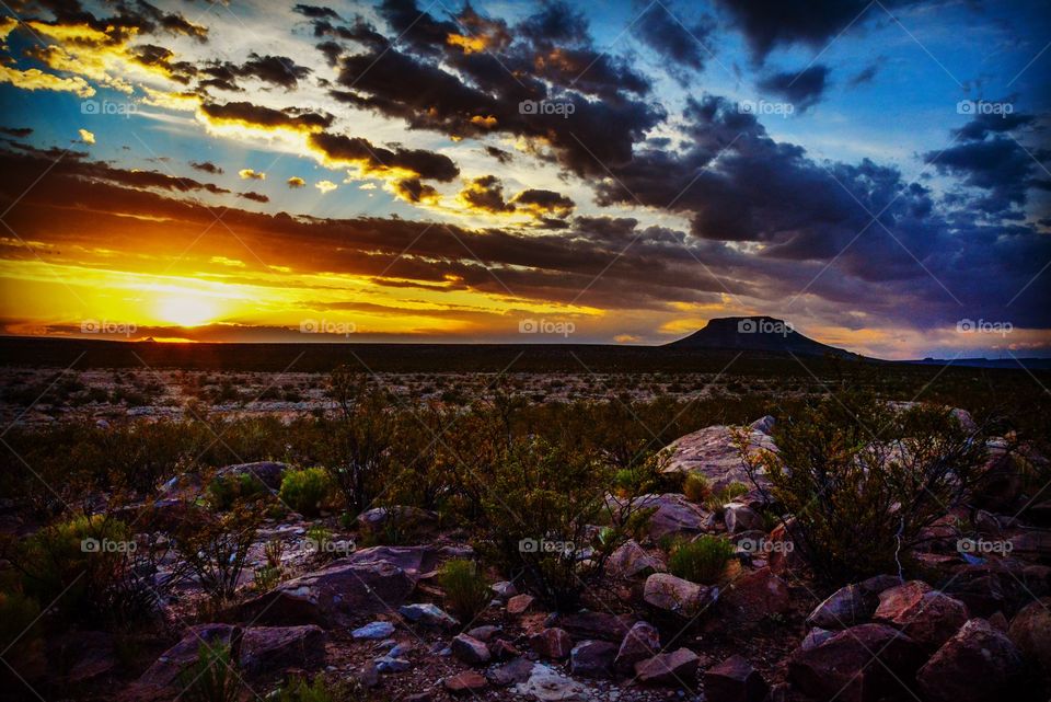Sunset over the desert
