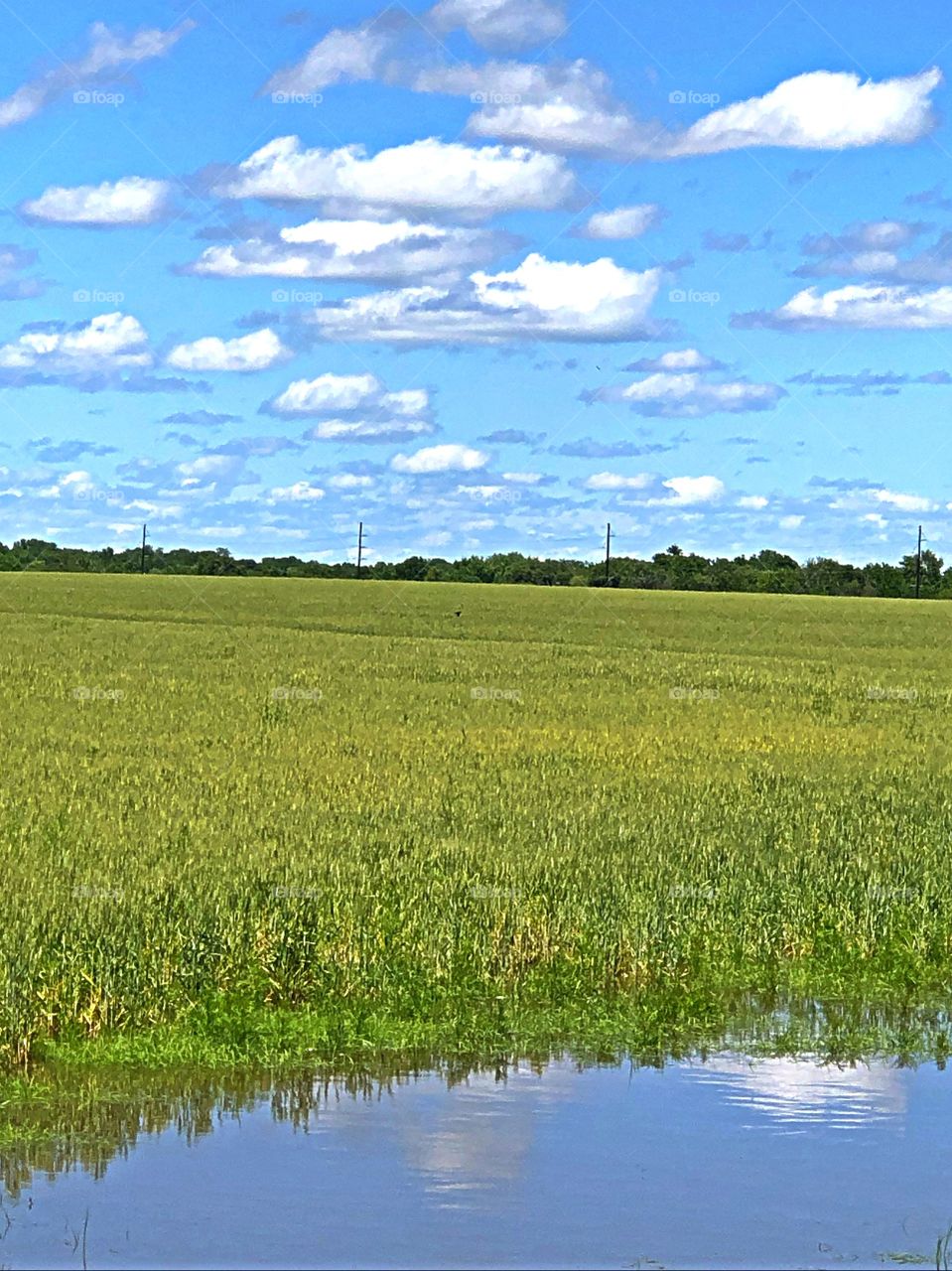 Ahhhhh. Kansas!!