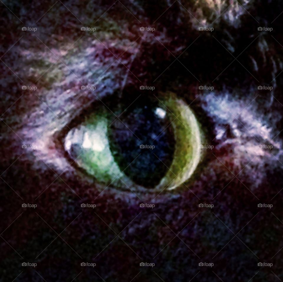 Lucy’s eye