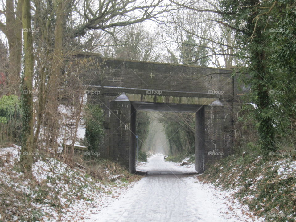 A Bridge In Winter