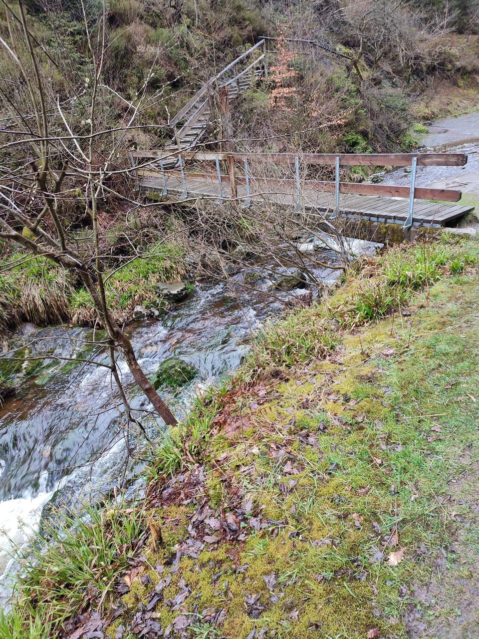 Walk in the woods, Bayehon waterfall