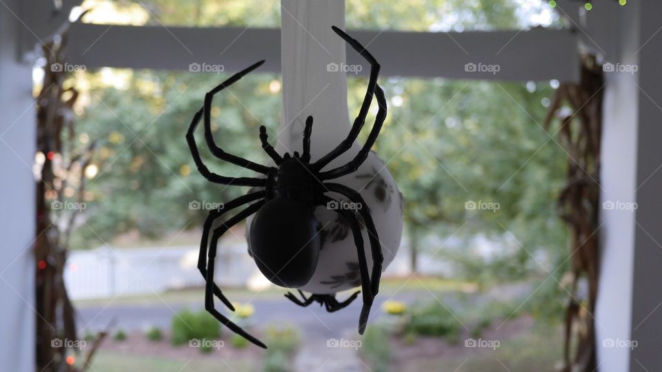 A Halloween decoration of a spider and her egg sack.