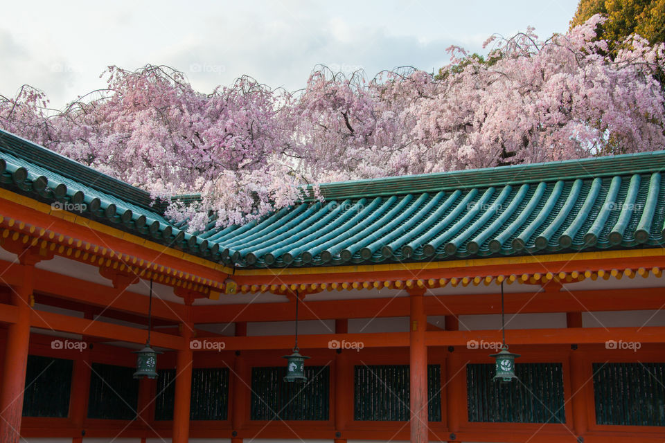 Kyoto temple 