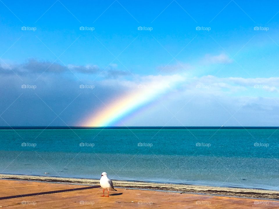 Bright rainbow over ocean