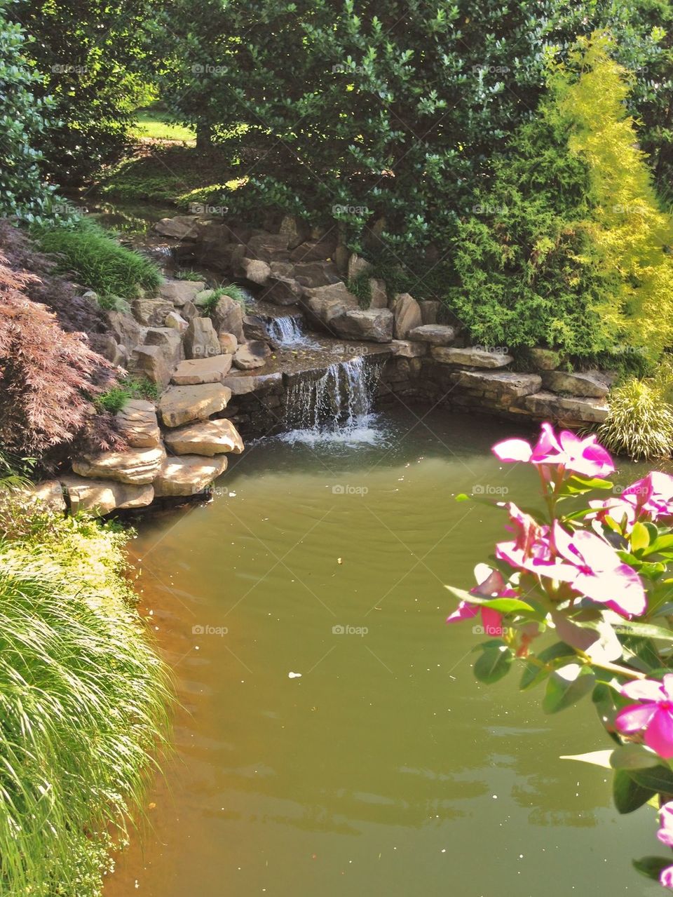 Scenics view of waterfall