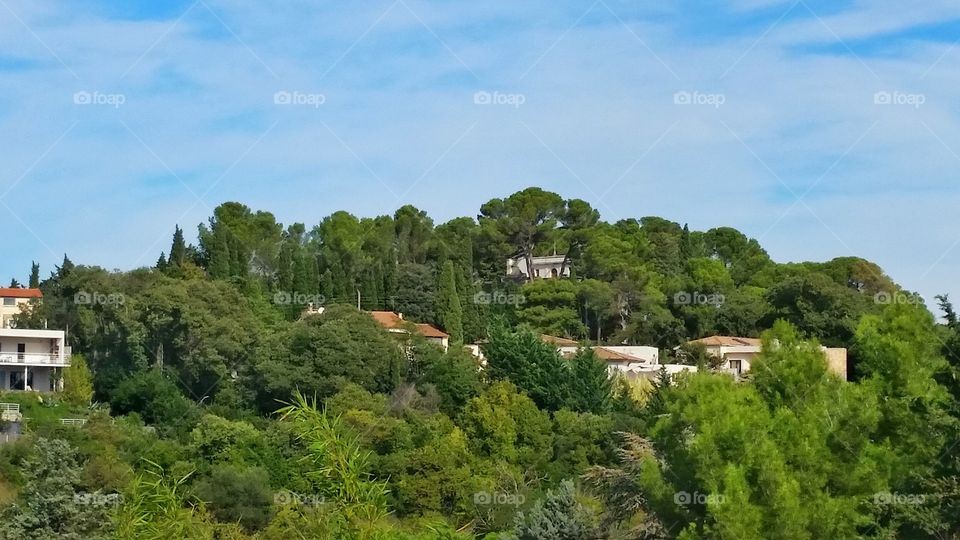 Houses and forest at the top of Montpellier, France