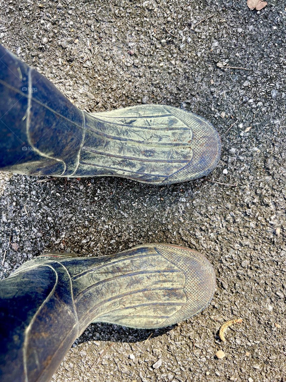 Heavy pollen covers blue rubber boots. Shot from a high angle standing on concrete.