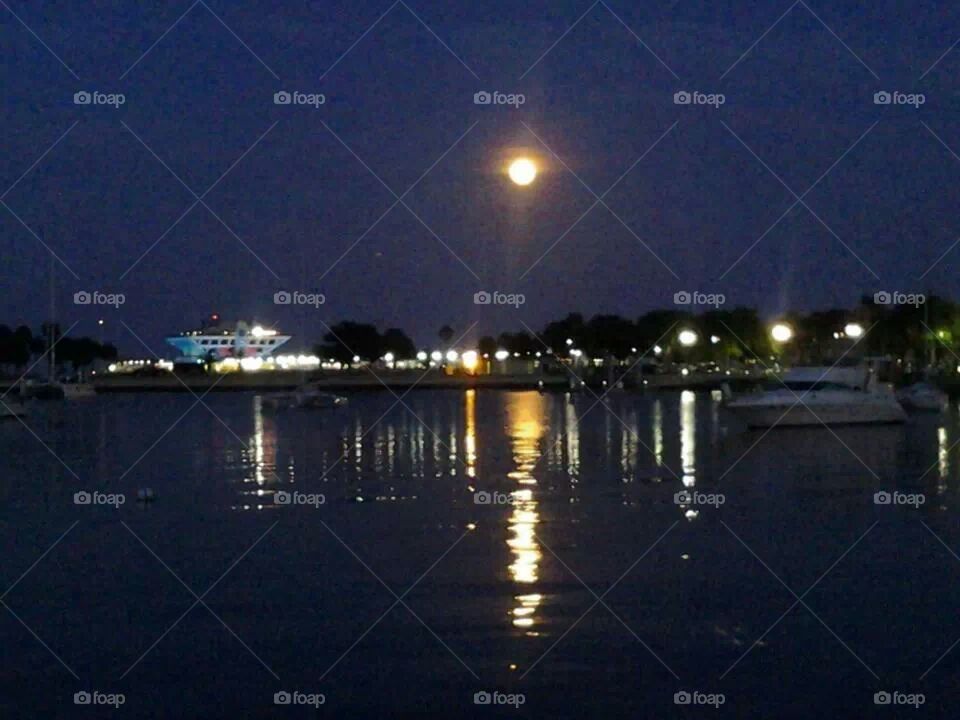 Shimmering Waterfront Lights