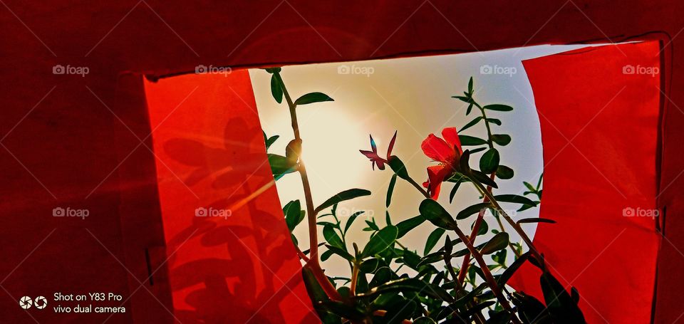 #foap #infoapartemen #foapjuly18 #foapaug18 #foapfeb18 #foapapril17 #foapers #foapjune18 #fotografoaprendiz #sfoapprentices #foaper #infoapartment #foapmission #foapmay18 #foapapr18 #foapit #infoaplikasipaytren #infoapple #foapom #foapjan19 #infoapp 