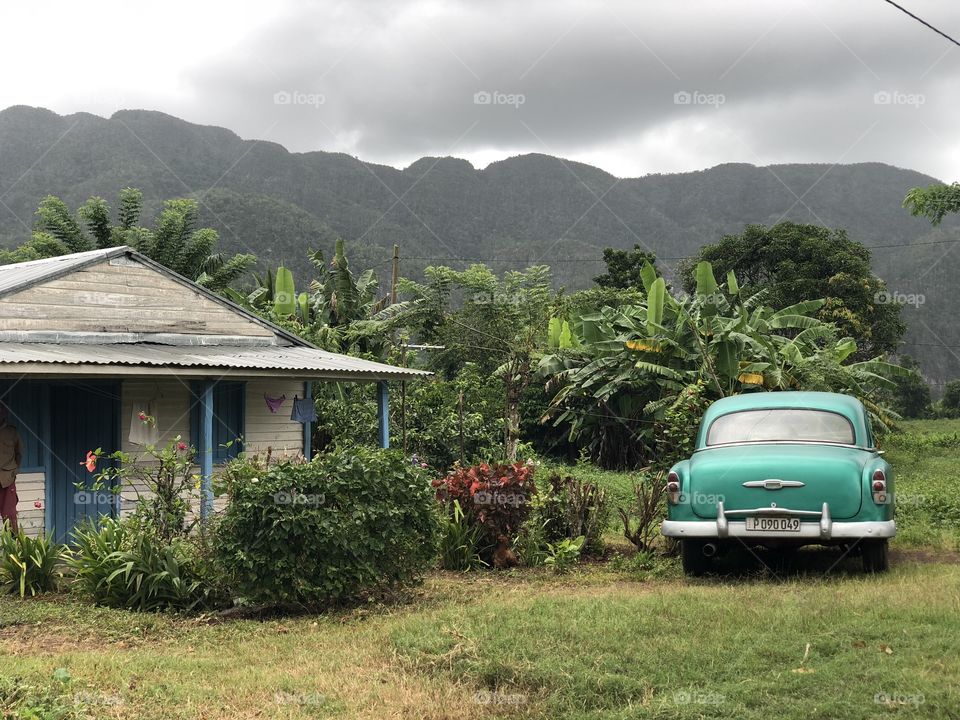 Cuban countryside