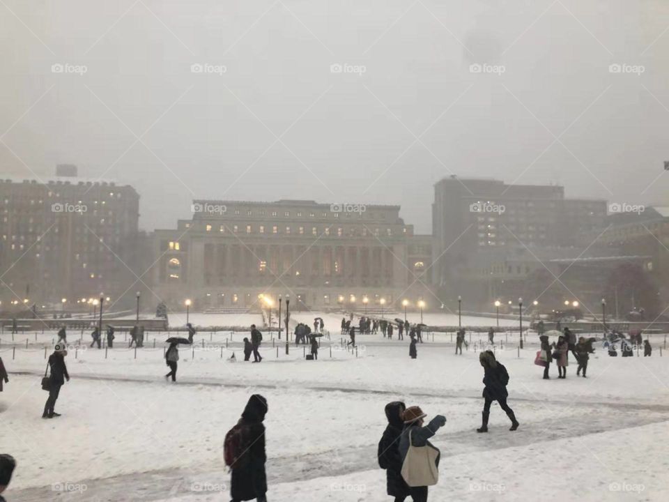 Columbia University Snow