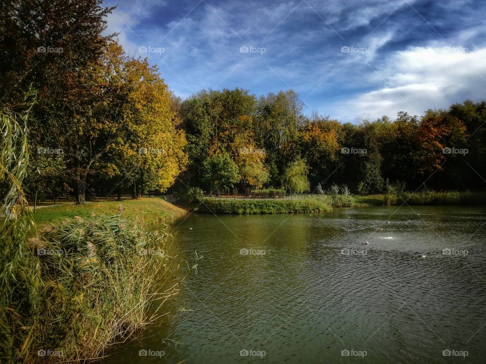 Jesień w parku