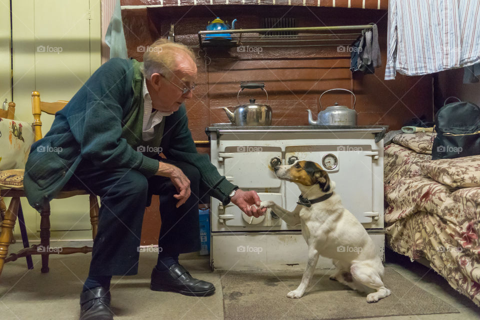 A man shakes hands with his dog.