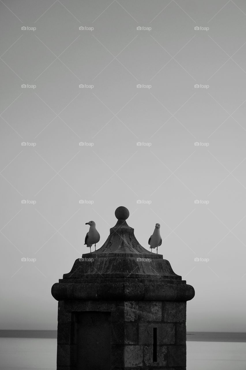 Two seagulls on top of a tower