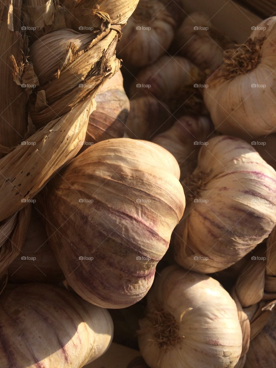 Garlic bulbs
