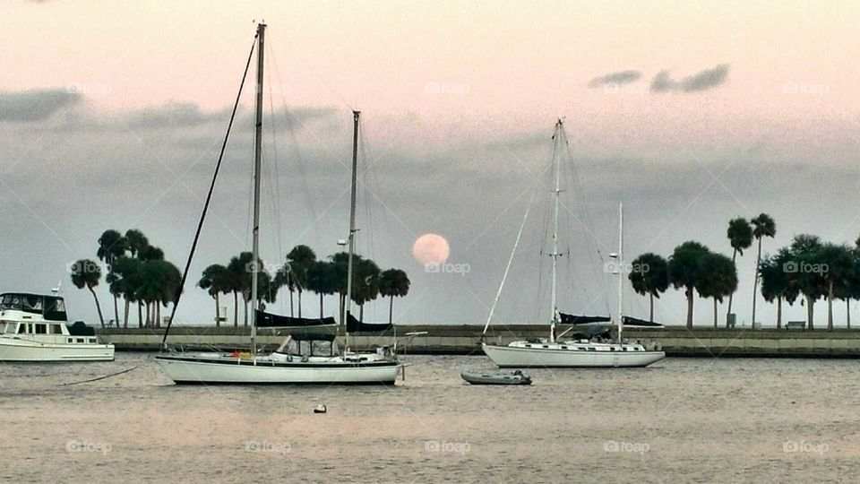 Moonrise. This is a picture of the moon rising over downtown St. Petersburg.
