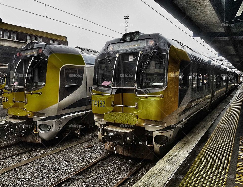 Two trains sit waiting to all aboard their passengers at the Wellington train station. Yellow.