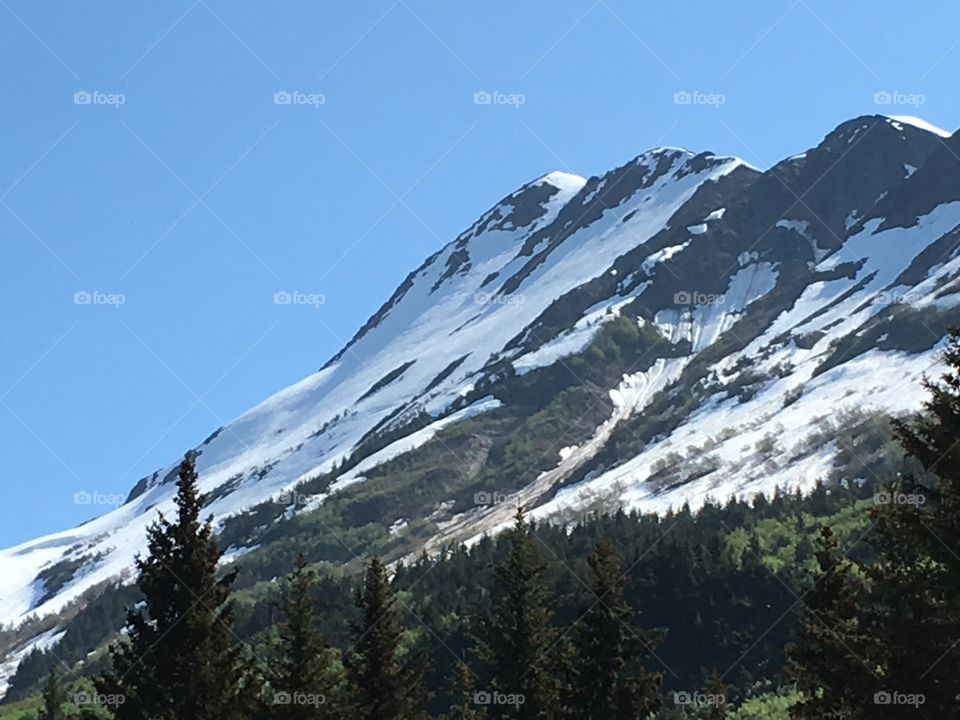 View of trees and mountains