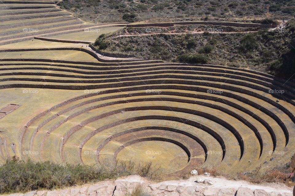 Inca plantation field