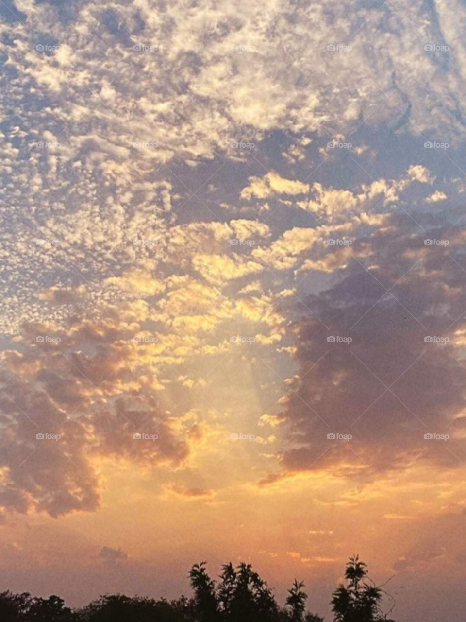 Nature makes me happy 