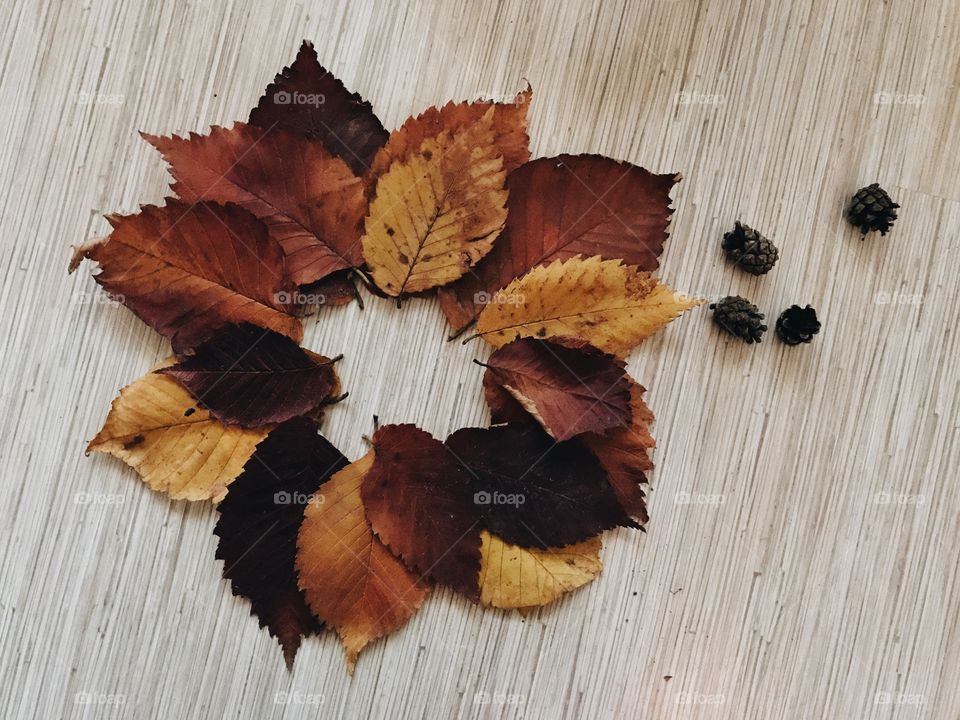 Autumn diy